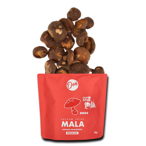 mala-shiitake-mushroom-chips-gentle-spice-top